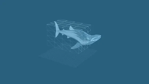 Digital 3D Model of Hammerhead Shark in Geometric Box Visualization Video stock 342605555