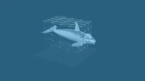 Digital 3D Model of Whale Within Geometric Grid on Minimalist Blue Background Stock Footage 342248462