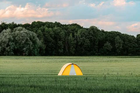 Digital 3D render of a yellow camping tent on a rural valley near green trees Illustrazione stock