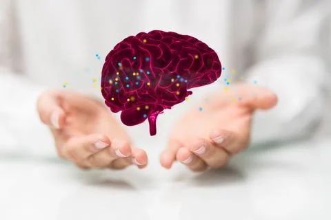 Digital 3D rendered floating brain on a person's hands Stock Photos