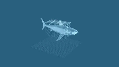 Digital 3D Shark Model with Wireframe Visualization on Blue Geometric Backg.. Stock Footage 342249077