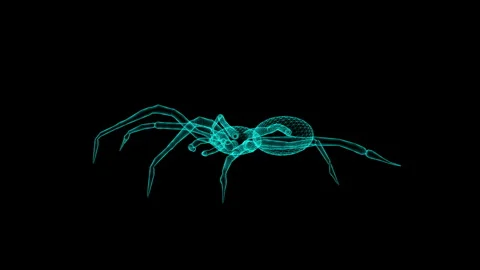 Digital 3D Wireframe Art of a Spider Rendering in a Black Background, Neon .. Stock Footage 342376151