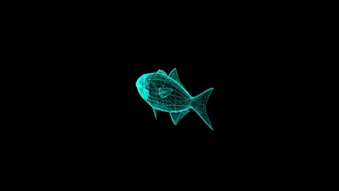 Digital 3D Wireframe Fish on Black Background Depicts Modern Technology in .. 库存影片 342781604