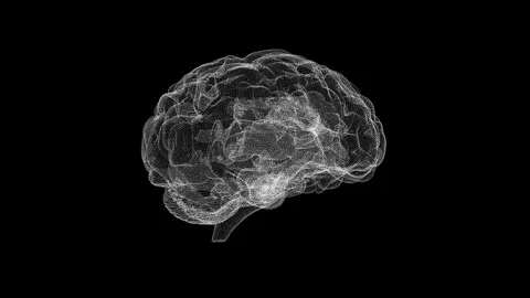 Digital Abstract Brain Wireframe Visualization on Black Background Stock Footage 339181595