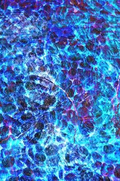 Digital abstract texture composed of densely packed circular strokes in bright Stock Photos