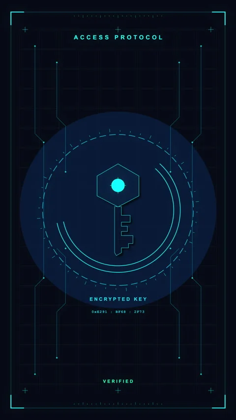 Digital access key in motion graphic, secure data encryption protocol, cybe.. Stock Footage 348327010