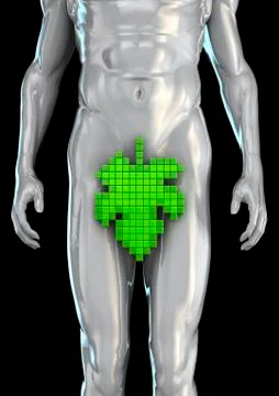 Digital Adam Stock-Illustration