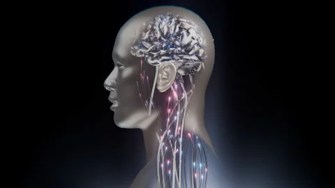 Digital AI Robot Brain Processing with Data Flow and Cable Connections Stock Footage 298468462