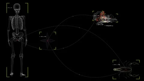 A digital anatomical simulator with object tracking and trajectories. Stock Footage 318586658