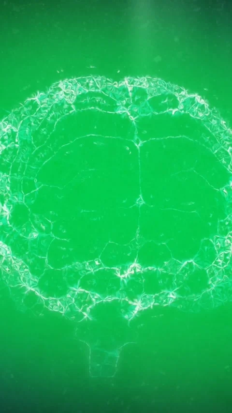 Digital animation of abstract shapes over human brain spinning against green Stock Footage 343615247