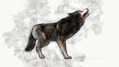 Digital Animation of an artistic Sketch, based on a self-created 3D Illustrat Stock Footage 106185914
