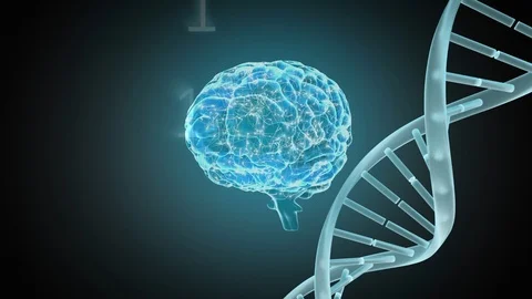 Digital animation of a brain and a DNA helix Stock Footage 107644132
