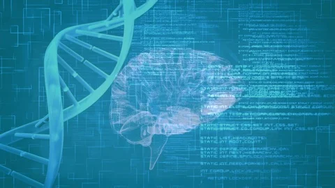 Digital animation of a brain Stock Footage 107647409