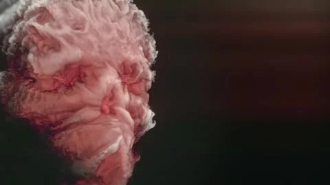 Digital animation of a burning red-orange fiery human skull. 3d rendering 4K Stock Footage 280379307