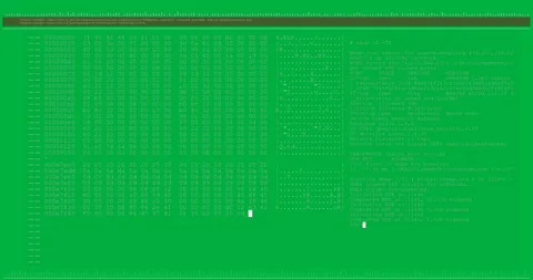 Digital animation of computer interface data processing and programming coding Stock Footage 324846113