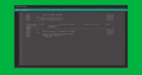 Digital animation of computer interface data processing and programming coding Stock Footage 325030774