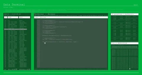 Digital animation of computer interface data processing and programming coding Stock Footage 325070343