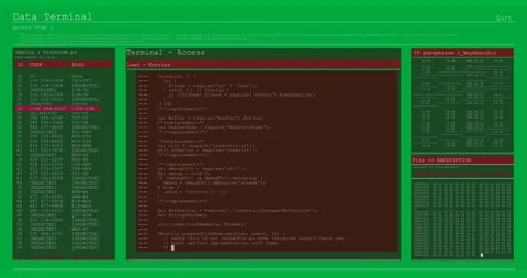 Digital animation of computer interface data processing and programming coding Stock Footage 325565733