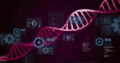 Digital animation of DNA strand with interface elements on dark red background Stock Footage 303555024