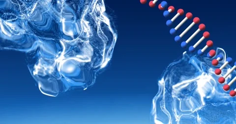 Digital animation of dna structure spinn... | Stock Video | Pond5