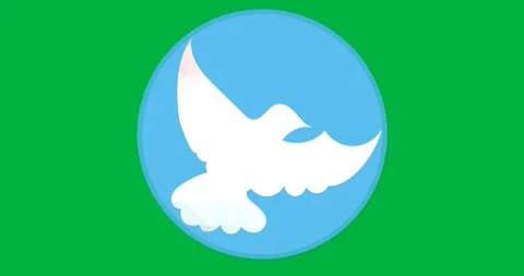 Digital animation of dove bird icon over blue round banner with copy space on Stock Footage 318432861