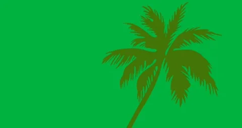 Digital animation of green palm tree icon against black background Stock Footage 318999886