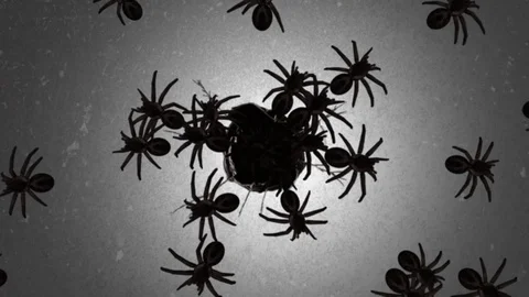 Digital animation horror vision concept Stock Footage 121602987