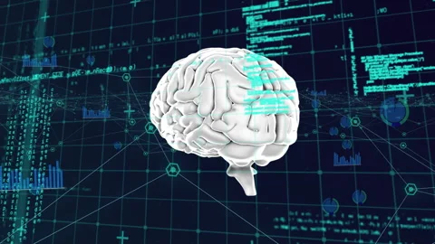Digital animation of human brain spinning against data processing on black Stock Footage 146560907