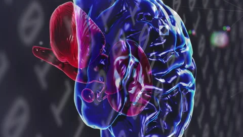 Digital animation of human brain spinning against binary coding data processing Stock Footage 312610124