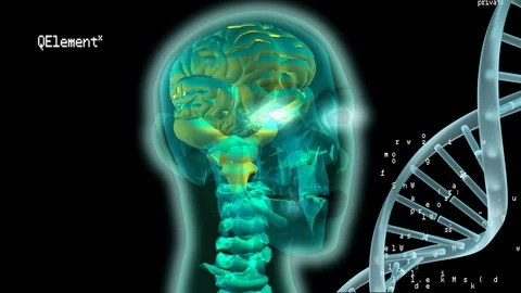 Digital animation of a human head Stock Footage 107645057
