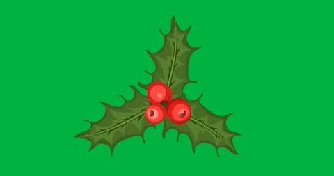 Digital animation of mistletoe icon against black background Stock Footage 318815538