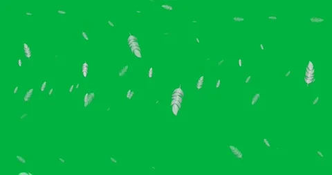 Digital animation of multiple feather icons falling against black background Stock Footage 318570552