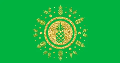 Digital animation of multiple golden pineapple icons over a banner against black Stock Footage 318702299