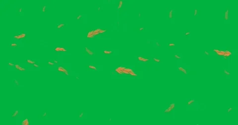 Digital animation of multiple orange feather icons falling against black Video stock 318570550