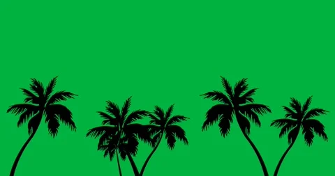 Digital animation of multiple palm tree icons against black background Stock Footage 318941925