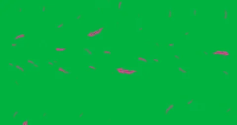 Digital animation of multiple pink feather icons falling against black Video stock 318570555