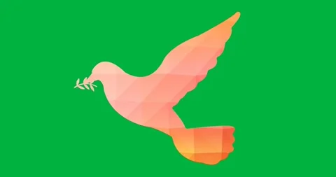 Digital animation of orange dove bird icon flying against black background Video stock 325485059