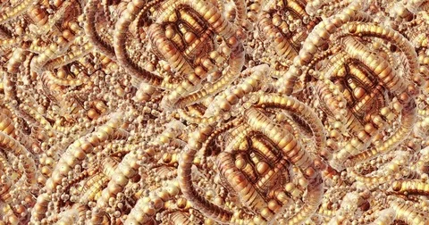 Digital animation of a quantity of appearing shapes Stock Footage 70397830