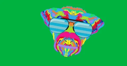 Digital animation of rainbow dog icon wearing sunglasses against black Stock Footage 318862371