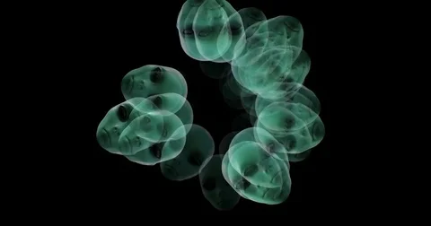 Digital animation of surreal alien heads Stock Footage 71202971