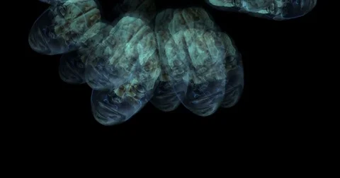 Digital animation of surreal alien heads Stock Footage 71204015