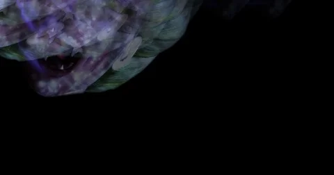 Digital animation of surreal vampires Stock Footage 71211452