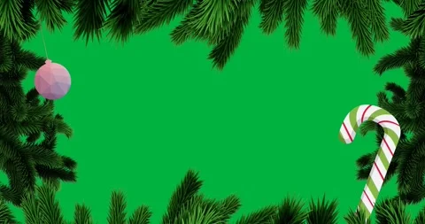 Digital animation of tree branches over gradient bauble and candy cane icons on Stock Footage 318862890