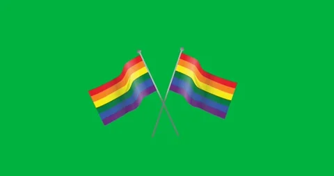 Digital animation of two rainbow flags icons against black background Stock Footage 318942501
