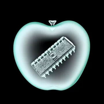 Digital apple x-ray 스톡 일러스트