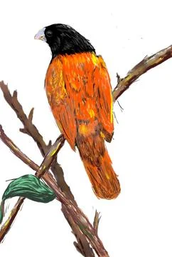 Digital Art of Bird Stock Illustration