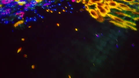 Digital Arts being exhibited at TeamLab Borderless Tokyo Stock Footage 185096698