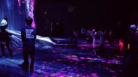 Digital Arts being exhibited at TeamLab Borderless Tokyo Stock Footage 185096927