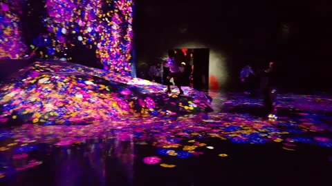 Digital Arts being exhibited at TeamLab Borderless Tokyo Stock Footage 185096984