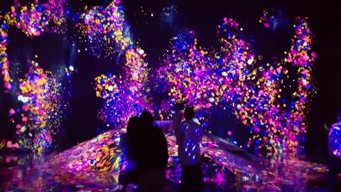 Digital Arts being exhibited at TeamLab Borderless Tokyo Stock Footage 185097014